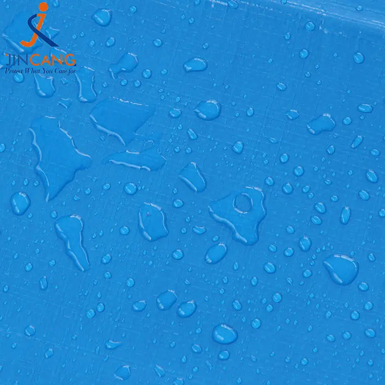 प्रिंट पीई टार्पॉलिनसह 220 ग्रॅम ब्लू व्हाइट