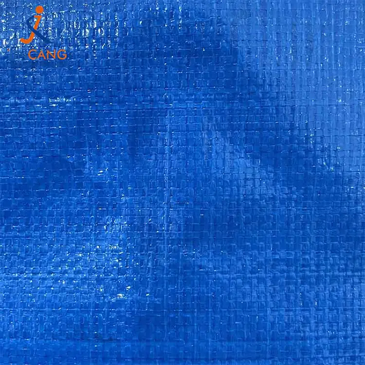 सुपरमार्केट फोल्डेबल पीपी विणलेल्या हलणारी बॅग