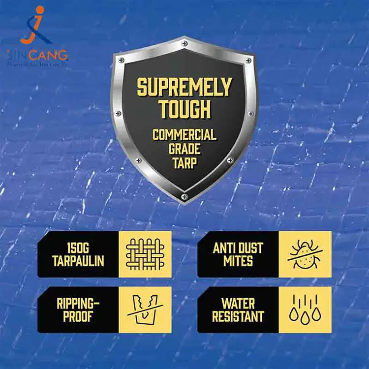 झिपर्ड पीई गद्दा स्टोरेज बॅग