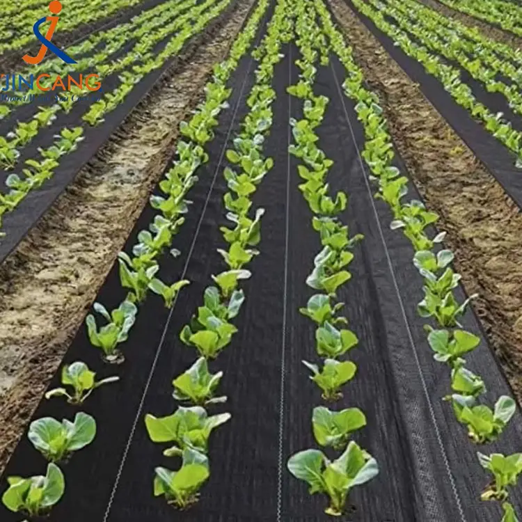 टिकाऊ तण चटई